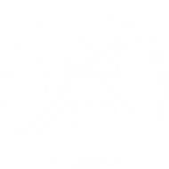 tick